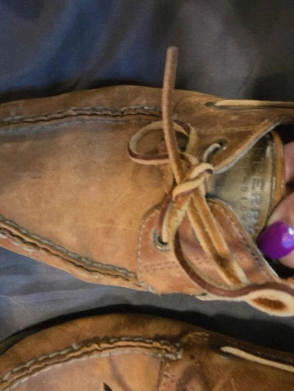 Sperry classics they